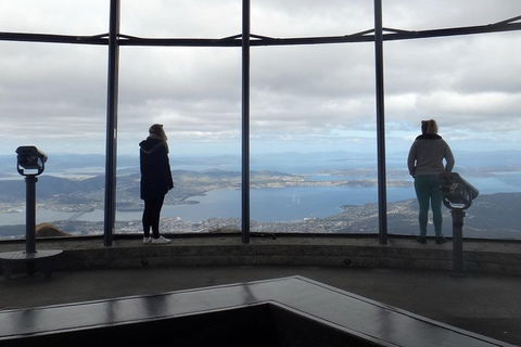 Kunanyi / Mt Wellington Explorer Bus - 2 Hour Return Tour - Pubs Melbourne 1