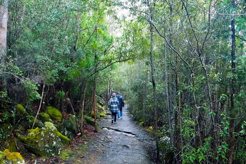 Kunanyi / Mt Wellington Explorer Bus - 2 Hour Return Tour - Pubs Melbourne 2