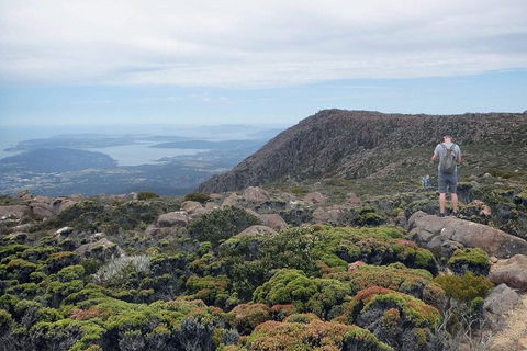 Kunanyi / Mt Wellington Explorer Bus - 2 Hour Return Tour - Pubs Melbourne 3