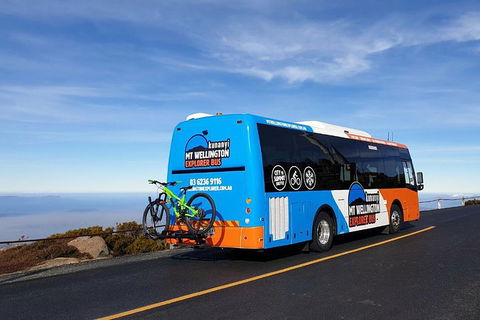 Kunanyi / Mt Wellington Explorer Bus - 2 Hour Return Tour - Pubs Melbourne 4