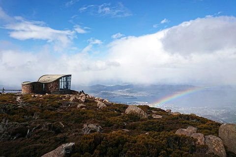 Kunanyi / Mt Wellington Explorer Bus - 2 Hour Return Tour - Pubs Melbourne 5
