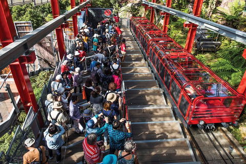 Private Guided Tour: Blue Mountains Tour From Sydney - Pubs Melbourne 1