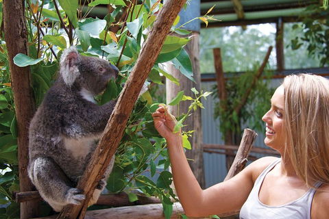 Private Guided Tour: Blue Mountains Tour From Sydney - Pubs Melbourne 5