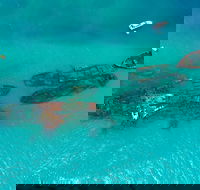 Private Tangalooma Wrecks Tour - Pubs Melbourne