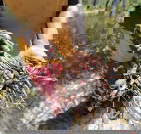 Gay-Wu Woman's 5 Day Yolngu Homeland Tour - Pubs Melbourne