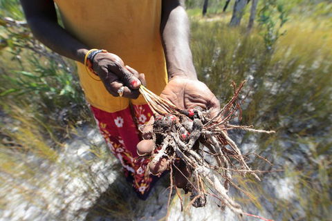 Gay-Wu Woman's 5 Day Yolngu Homeland Tour - Pubs Melbourne 0