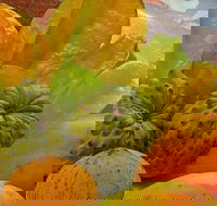 Private Half Day Tour Exclusive World Heritage Rainforest and Waterfall Tour from Cairns - Pubs Melbourne