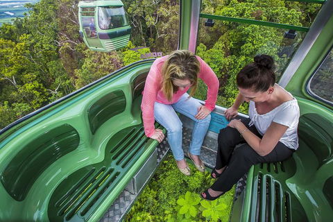 8-Day Cairns Tour: Great Barrier Reef, Kuranda, Daintree Rainforest - Pubs Melbourne 3