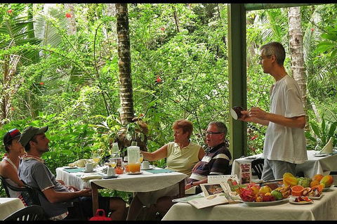 8-Day Cairns Tour: Great Barrier Reef, Kuranda, Daintree Rainforest - Pubs Melbourne 4