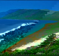 Cairns Reef and Rainforest Combo Daintree Rainforest and the Great Barrier Reef - Pubs Melbourne