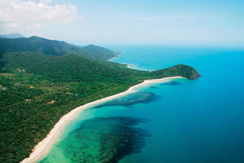 Cape Tribulation, Mossman Gorge, And Daintree Rainforest Premium Day Tour - Pubs Melbourne 2