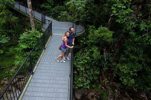 Cape Tribulation, Mossman Gorge, And Daintree Rainforest Premium Day Tour - Pubs Melbourne 3
