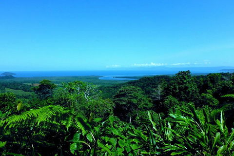 Cape Tribulation, Mossman Gorge, And Daintree Rainforest Premium Day Tour - Pubs Melbourne 5