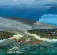 4-Day Cairns with Great Barrier Reef and Daintree Rainforest - Pubs Melbourne