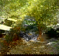 Cairns National Park Rainforest and Waterfall Small Group Tour Shore Excursion - Pubs Melbourne