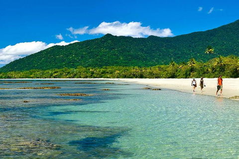 Private Daintree National Park Day Tour From Cairns Including Cape Tribulation And Mossman Gorge - Pubs Melbourne 0