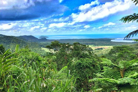 Private Daintree National Park Day Tour From Cairns Including Cape Tribulation And Mossman Gorge - Pubs Melbourne 2