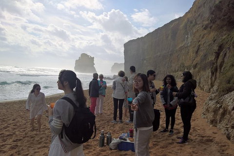 Great Ocean Road Full Day Private Experience - Pubs Melbourne 4