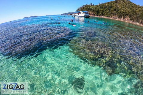 Whitehaven Beach Day Tour With Snorkel In Whitsundays Island - Pubs Melbourne 5