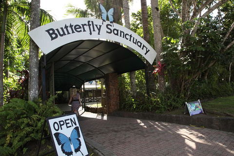 Kuranda Day Trip From Port Douglas Upgrade To Skyrail & Scenic Train Available - Pubs Melbourne 0