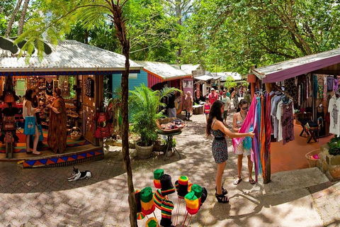 Kuranda Day Trip From Port Douglas Upgrade To Skyrail & Scenic Train Available - Pubs Melbourne 2