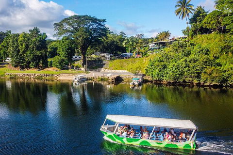 Full Day Tour In The Daintree - Pubs Melbourne 2