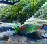 Afternoon Half-Day Daintree Rainforest and River Tour - Pubs Melbourne