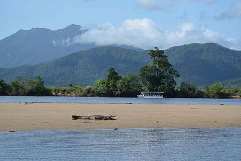 Afternoon Half-Day Daintree Rainforest And River Tour - Pubs Melbourne 2
