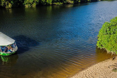 Afternoon Half-Day Daintree Rainforest And River Tour - Pubs Melbourne 3