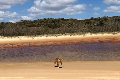 Pippies 3 Days 2 Nights Fraser Island Tour - Pubs Melbourne 2