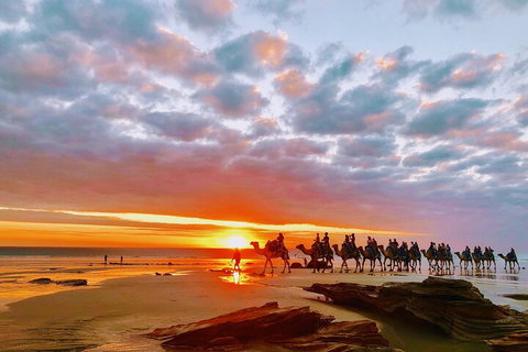 1 Hour Broome Sunset Camel Tour - Pubs Melbourne 0