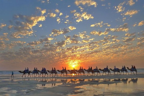 1 Hour Broome Sunset Camel Tour - Pubs Melbourne 1