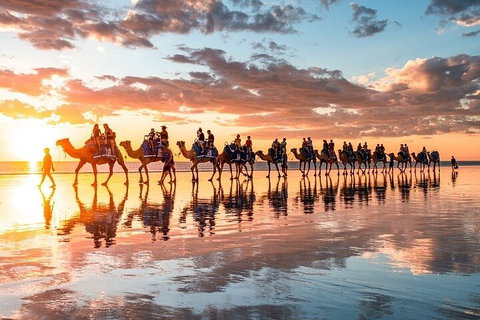 1 Hour Broome Sunset Camel Tour - Pubs Melbourne 2