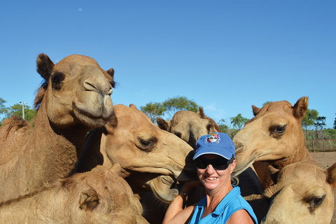 1 Hour Broome Sunset Camel Tour - Pubs Melbourne 3