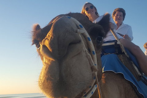 1 Hour Broome Sunset Camel Tour - Pubs Melbourne 4