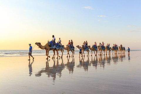 1 Hour Broome Sunset Camel Tour - Pubs Melbourne 5