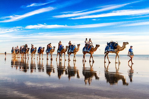 Broome Pre-sunset Camel Tour 30 Minutes - Pubs Melbourne 2