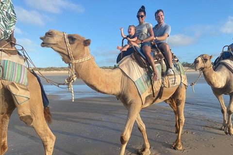 Broome Pre-sunset Camel Tour 30 Minutes - Pubs Melbourne 3