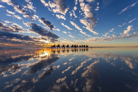 Broome Pre-sunset Camel Tour 30 Minutes - Pubs Melbourne 4