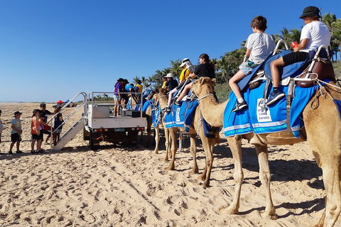 Broome Pre-sunset Camel Tour 30 Minutes - Pubs Melbourne 5