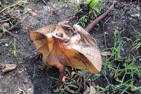 Litchfield National Park And Jumping Crocodile Cruise - Pubs Melbourne 1