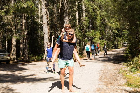 7-Day Best Of Tasmania Adventure Experience From Hobart (flexible Ticket) - Pubs Melbourne 5