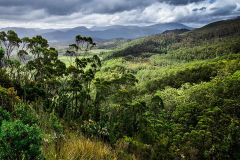 5-Day Lap Of Tasmania Tour From Hobart (flexible Ticket) - Pubs Melbourne 2