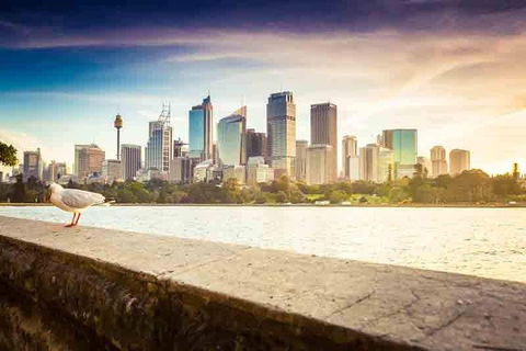Private Sydney City And Bondi Beach Half Day Tour - Pubs Melbourne 2