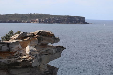 Private Sydney City And Bondi Beach Half Day Tour - Pubs Melbourne 3
