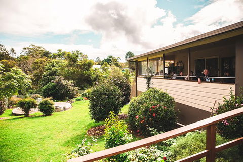 Full-day Springbrook National Park Tour From The Gold Coast - Pubs Melbourne 2