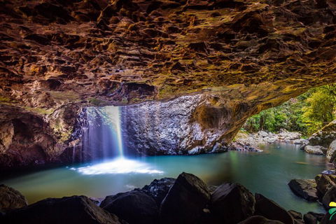 Full-day Springbrook National Park Tour From The Gold Coast - Pubs Melbourne 3