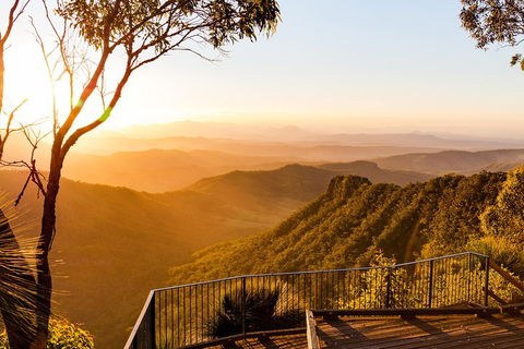 O'Reilly's & Lamington National Park Incl. Alpaca Farm + Vineyard - Pubs Melbourne 0