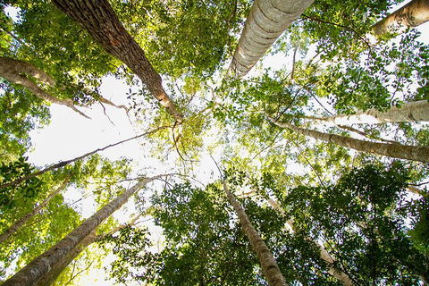 Fraser Island 4WD Tour From Noosa - Pubs Melbourne 0