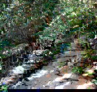Fraser Island 4WD Tour from Rainbow Beach - Pubs Melbourne